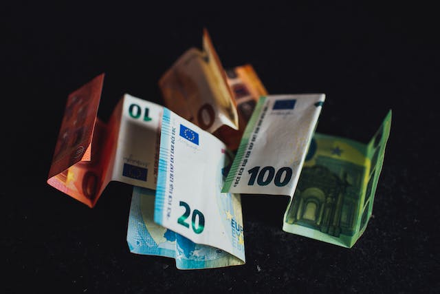 Wprowadzenie waluty Euro - korzyści i wyzwania 